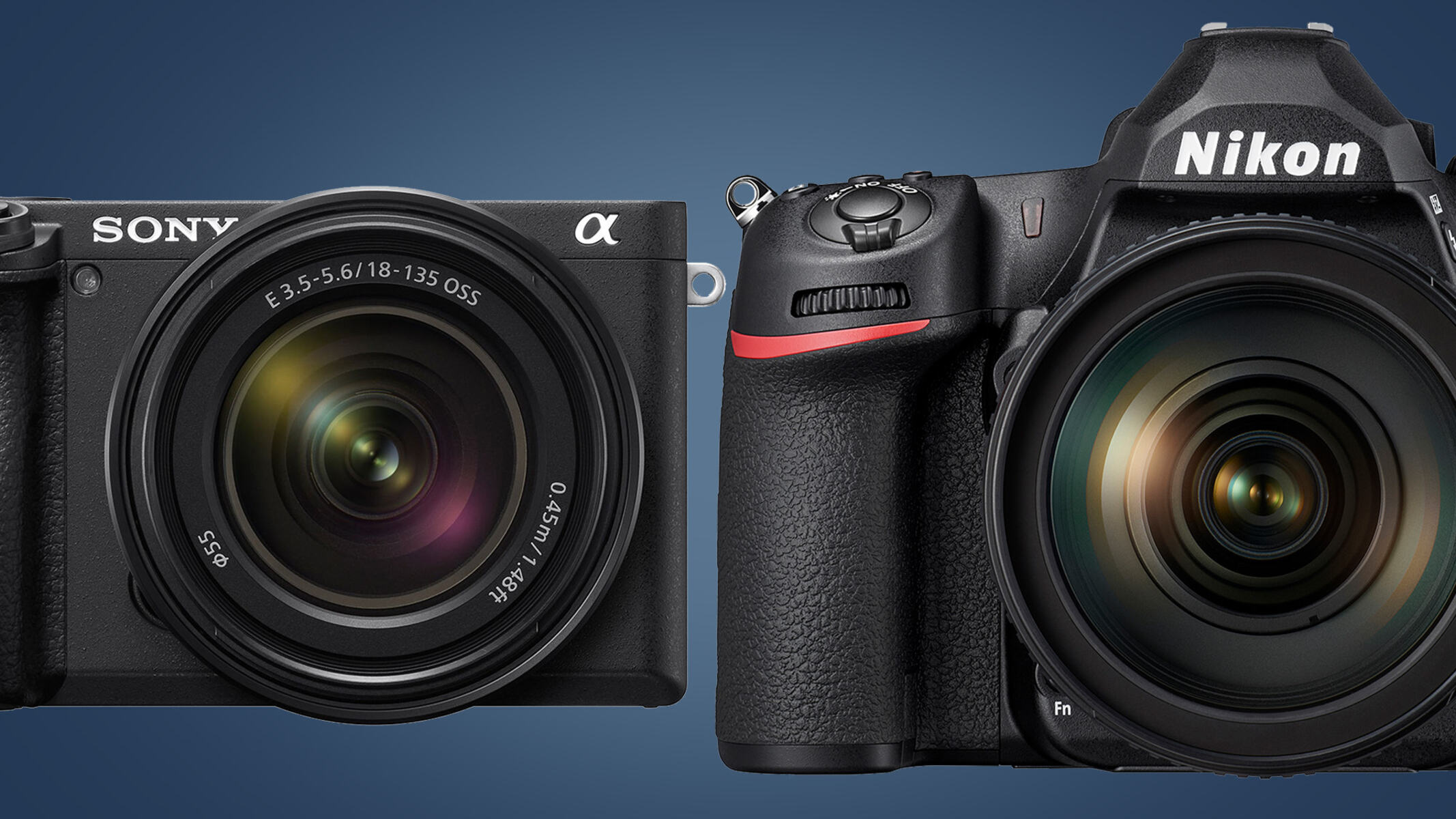What Is The Difference Between A Mirrorless Camera And A DSLR