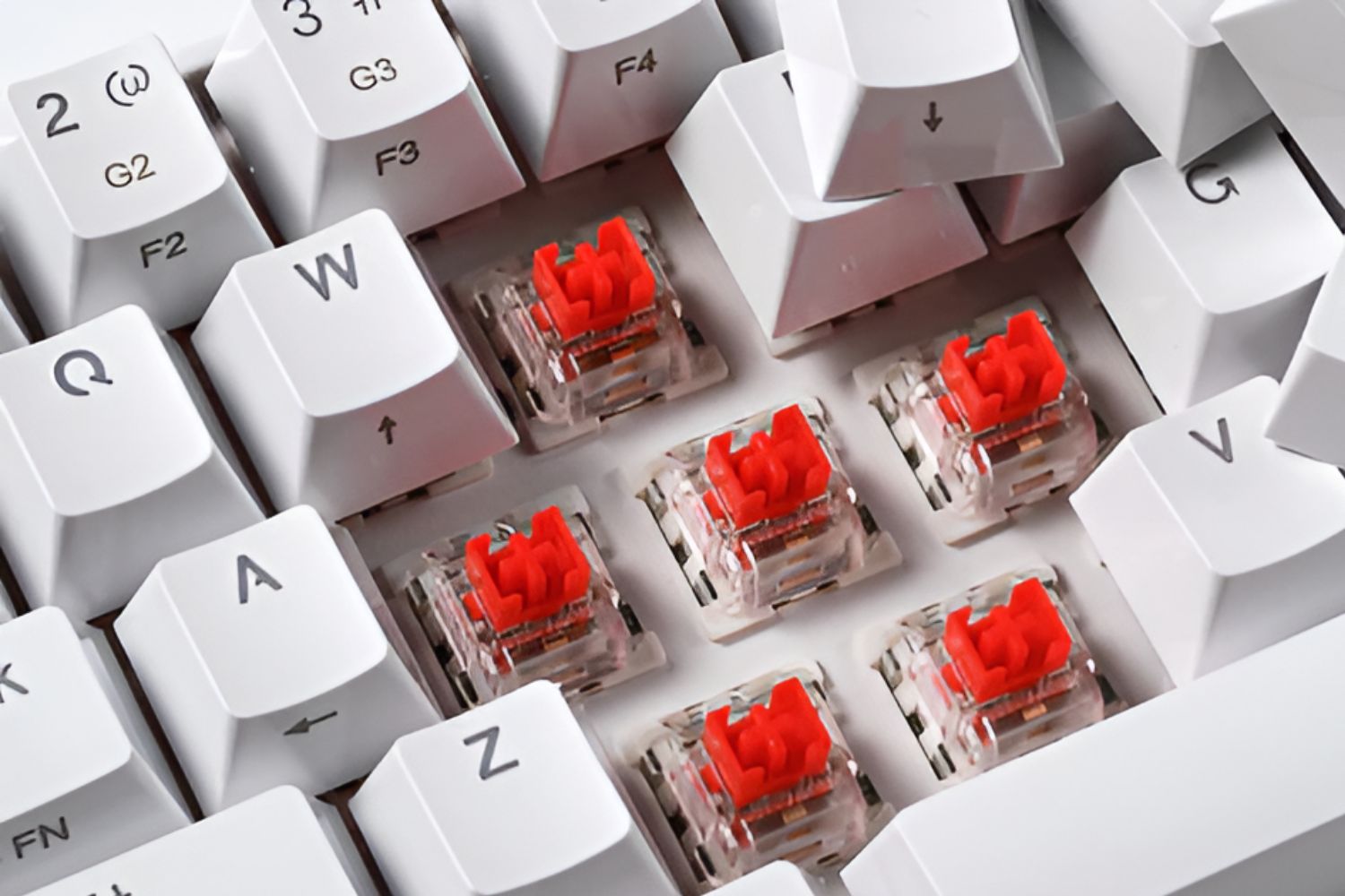 which-mechanical-keyboard-switch-should-i-use