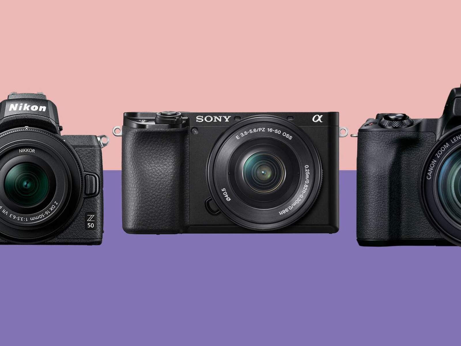 Which Mirrorless Camera Gives The Best Battery Life