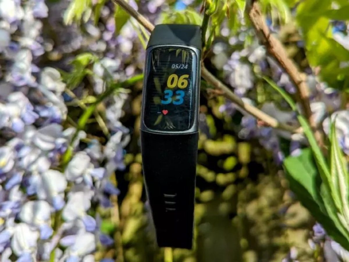 Blooming Insights: Decoding The Meaning Of The Flower On Your Fitbit