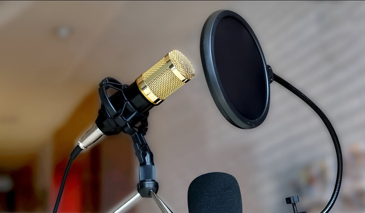 BM 800 Condenser Microphone Has Feedback When Recording On Laptop