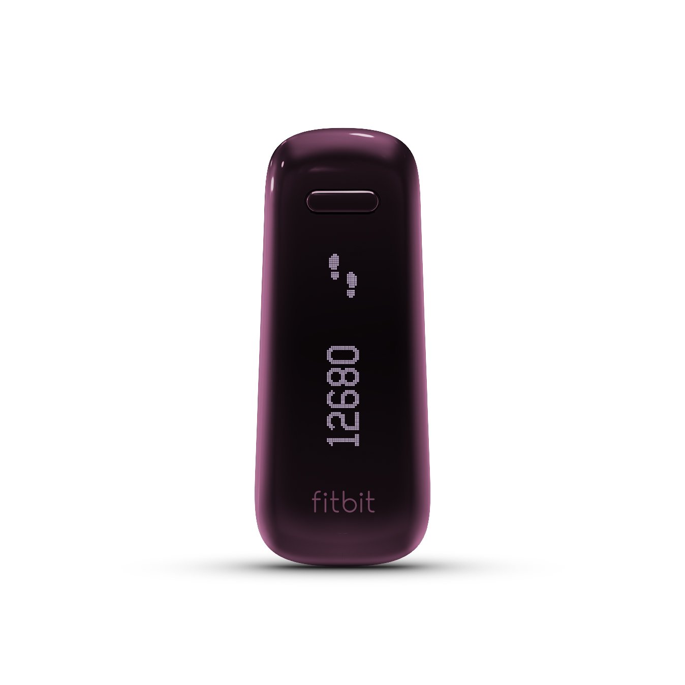 Fitbit One Mastery: A Comprehensive Guide To Using Your Fitbit One