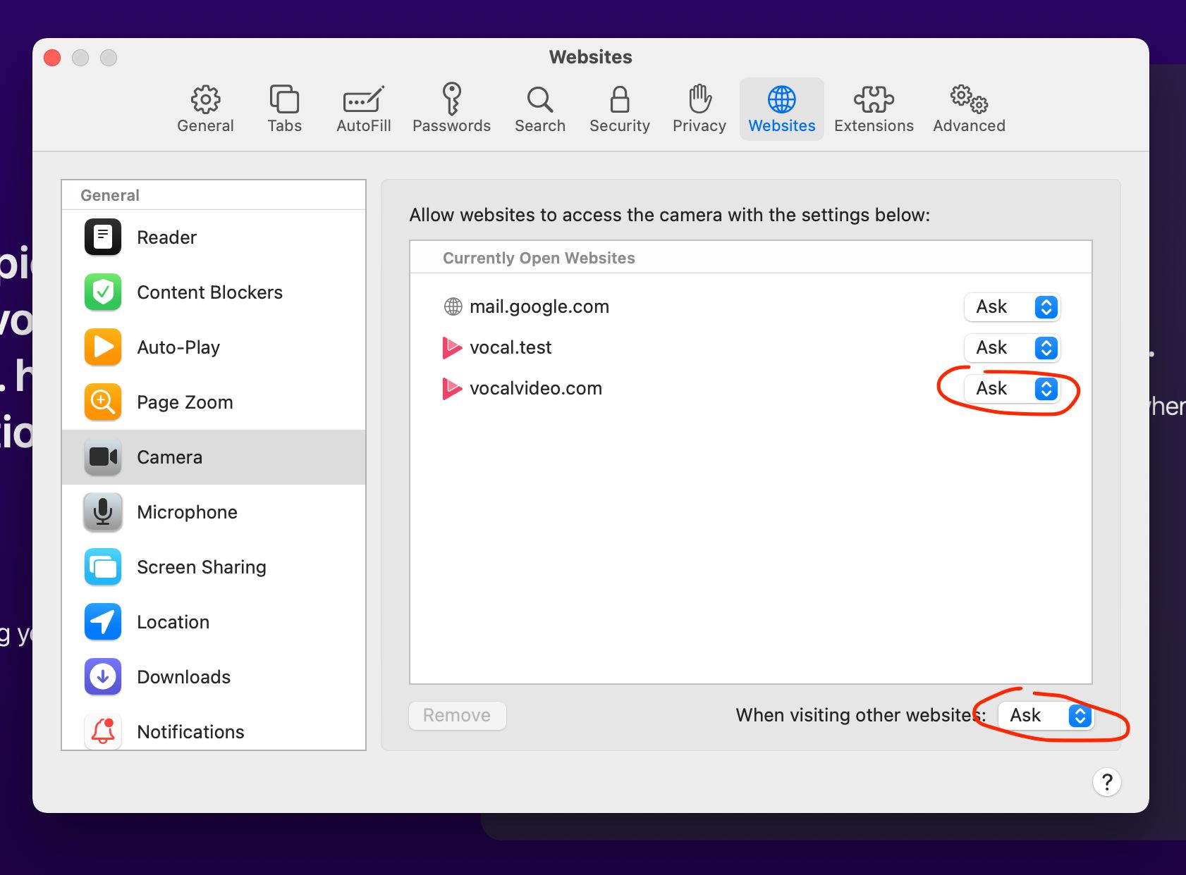 How To Allow Camera Access On Safari Mac