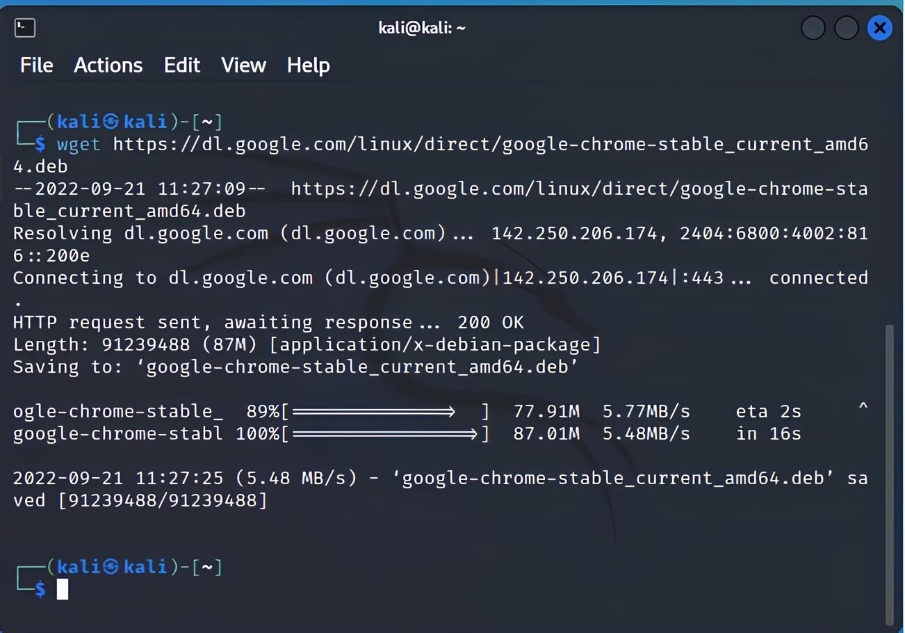How To Install Google Chrome On Kali Linux