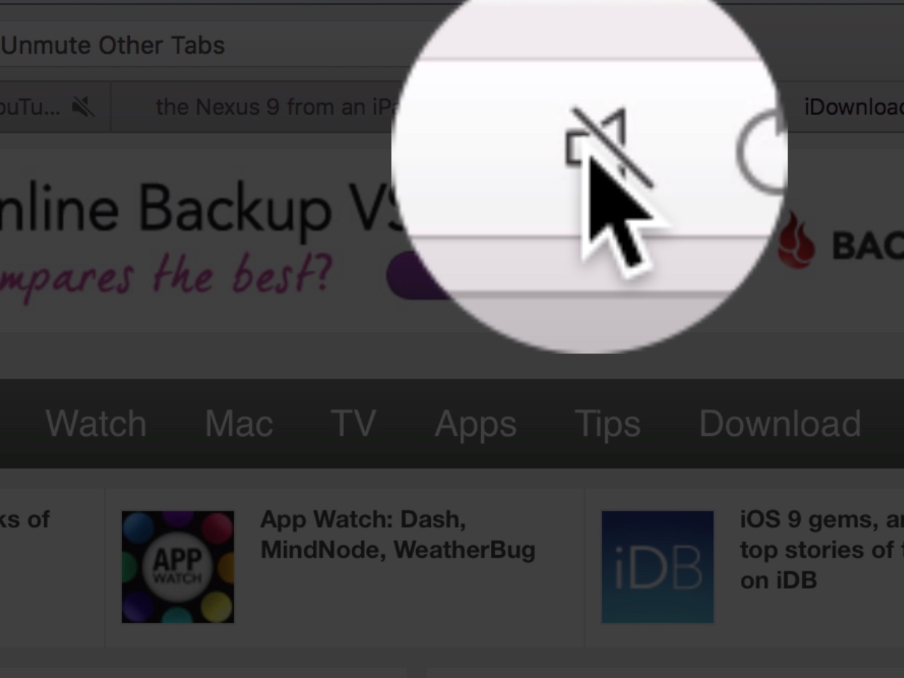 How To Mute A Website On Safari