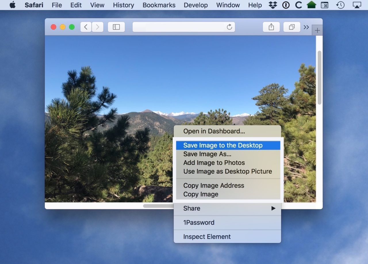 How To Save Pictures From Safari On Macbook