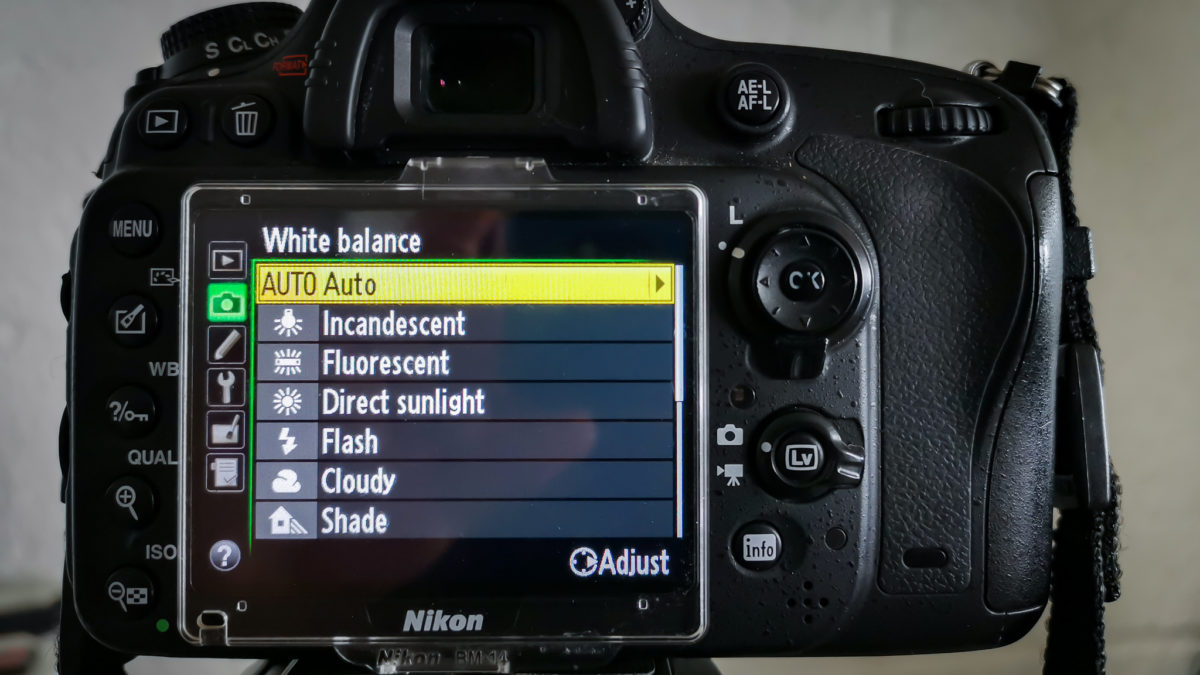 How To Set White Balance On A DSLR Camera