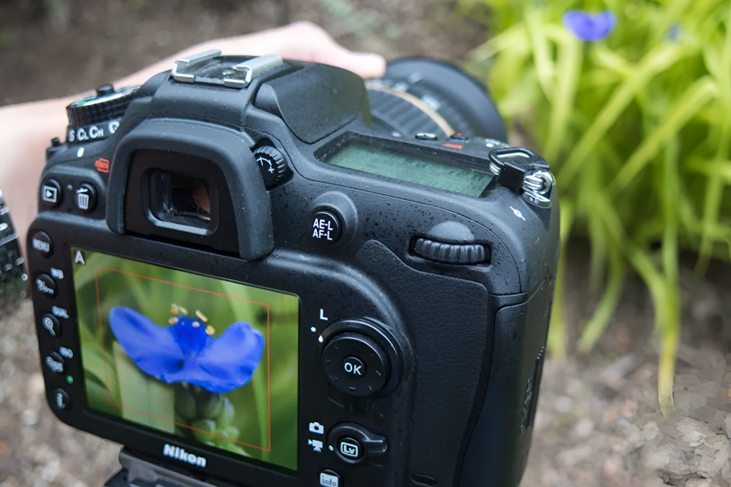 How To Take Great Pictures With A DSLR Camera