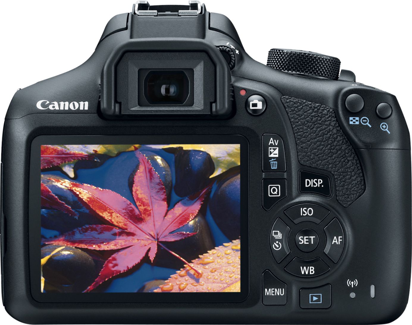 How To Use A Canon EOS Rebel T6 DSLR Camera