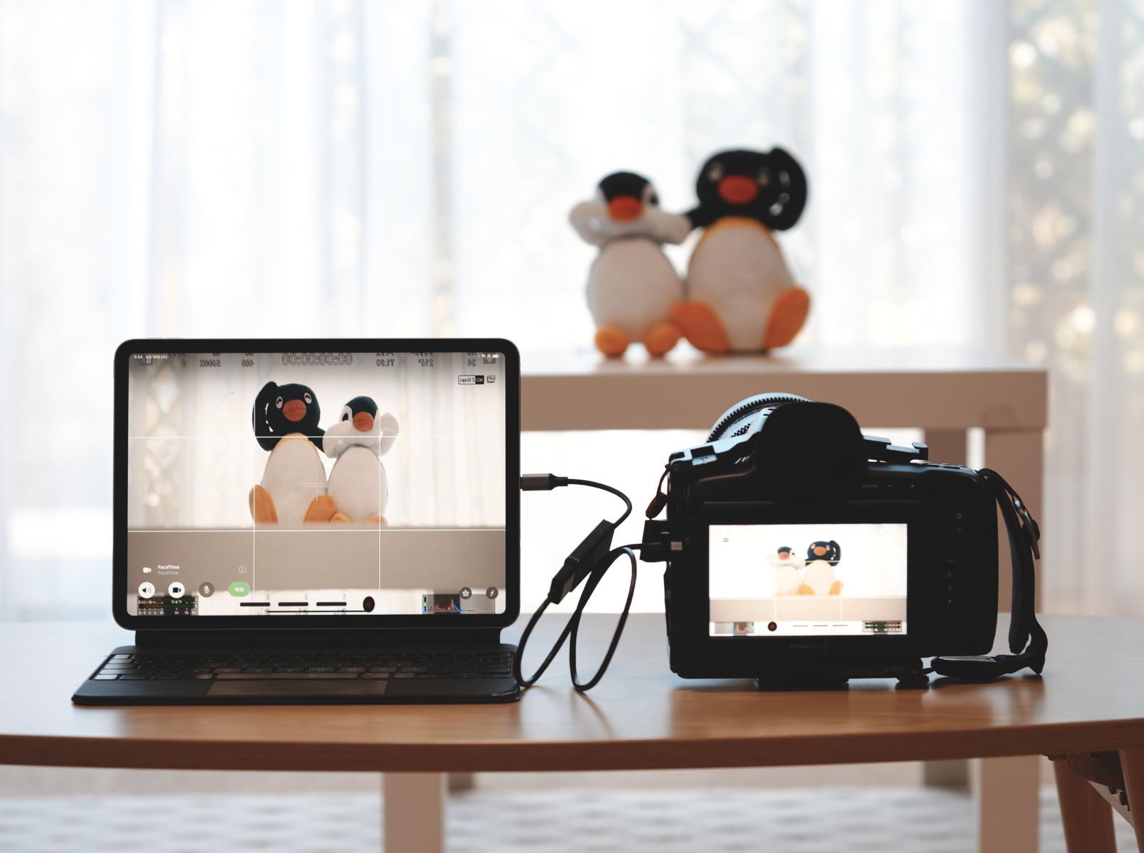 How To Use IPad As A Display For A DSLR Camera