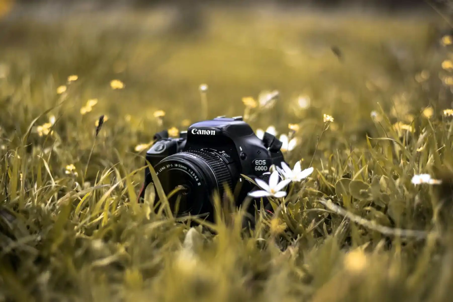 How To Use The Canon DSLR Camera