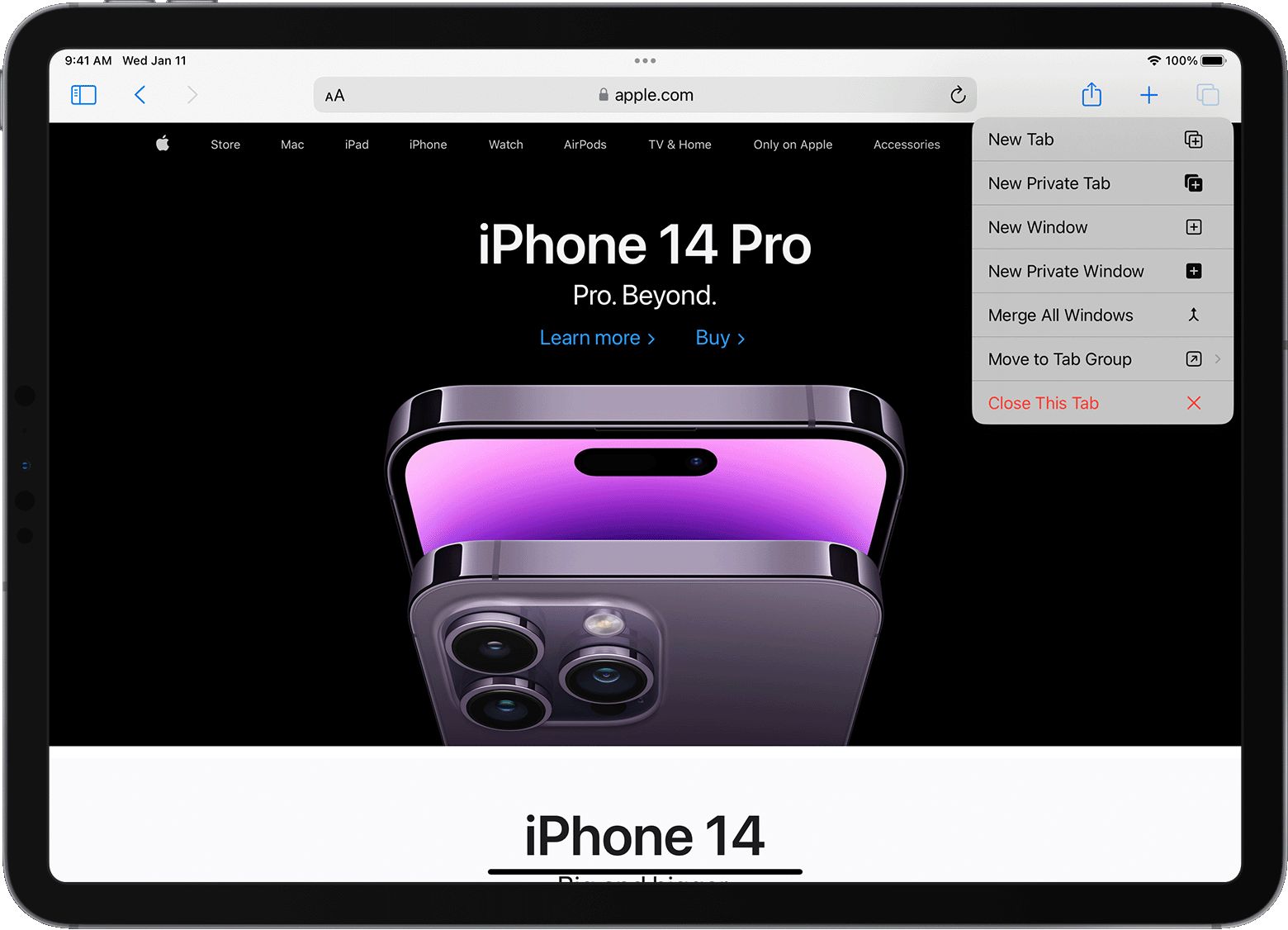 how-to-view-private-browsing-history-on-safari-iphone-robots