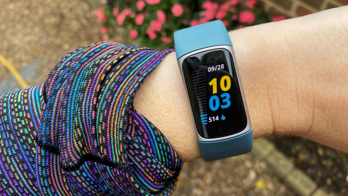 Identifying Your Fitbit: A Guide To Model Recognition