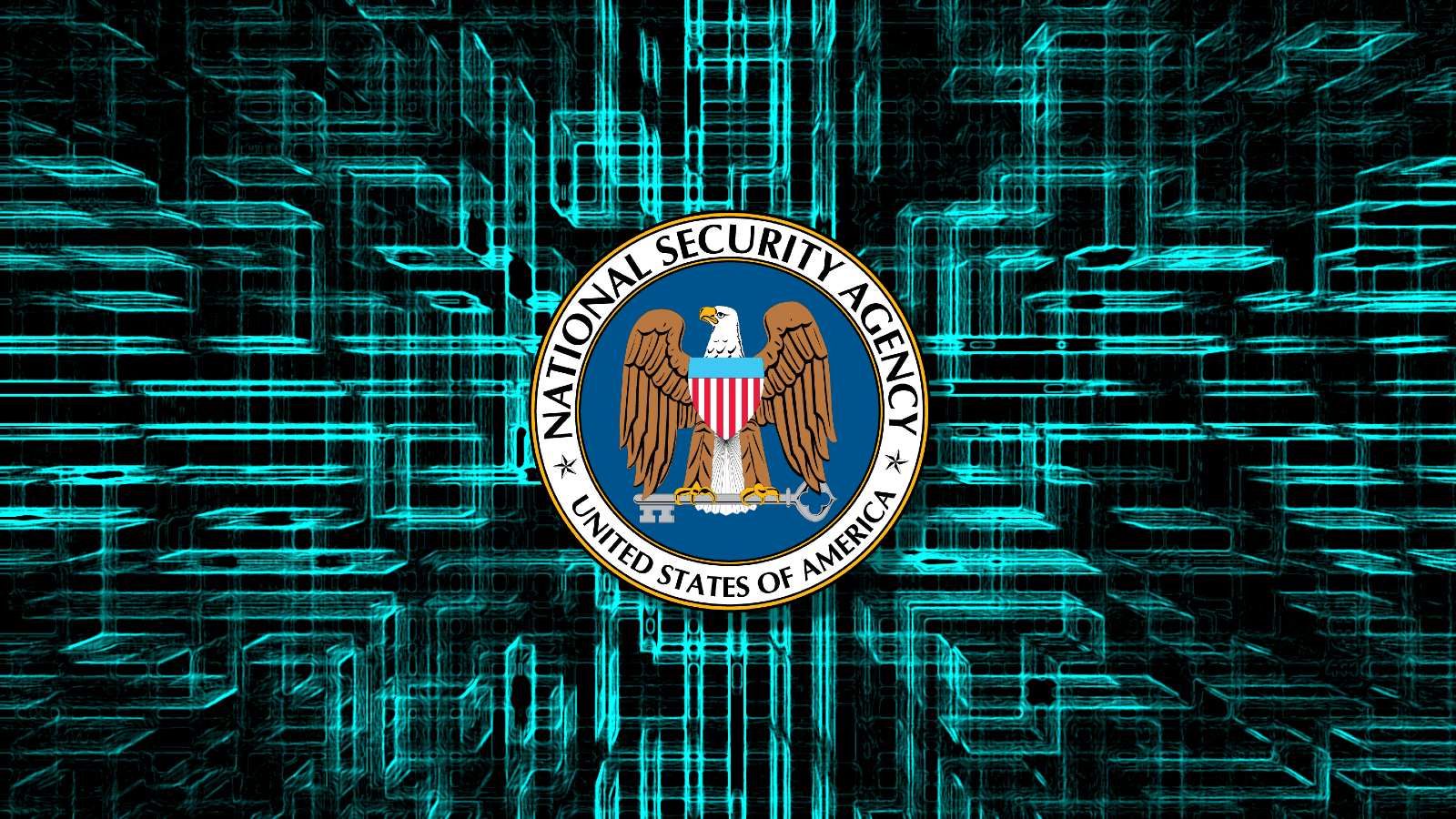 NSA Confirms Purchase Of Americans’ Internet Browsing Records Without Warrant