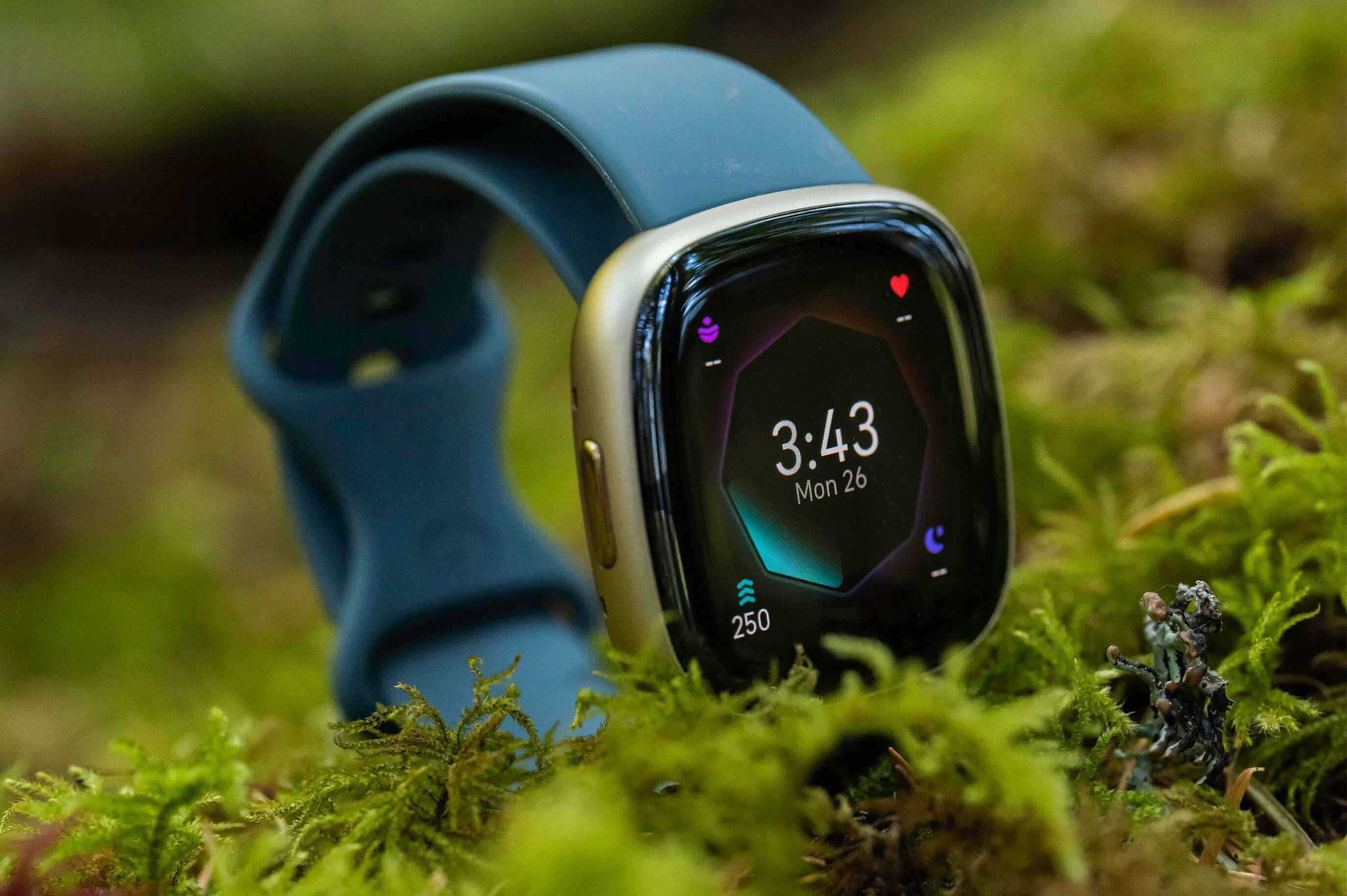 Power Up: Turning On Your Fitbit Sense