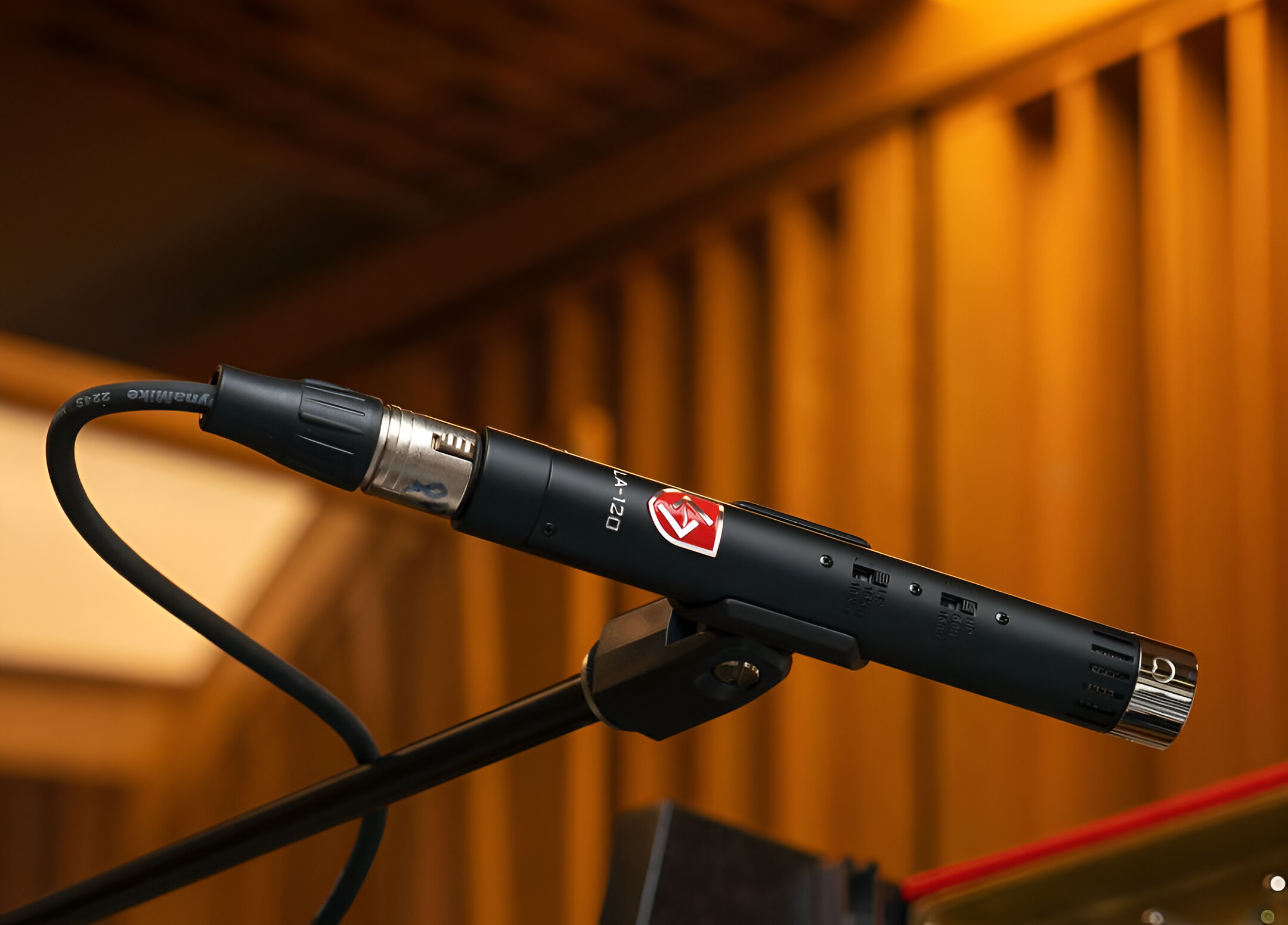 What Are Small Diaphragm Condenser Microphones?