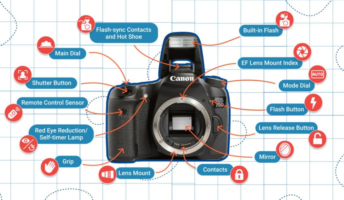 What Are The Components Of A DSLR Camera