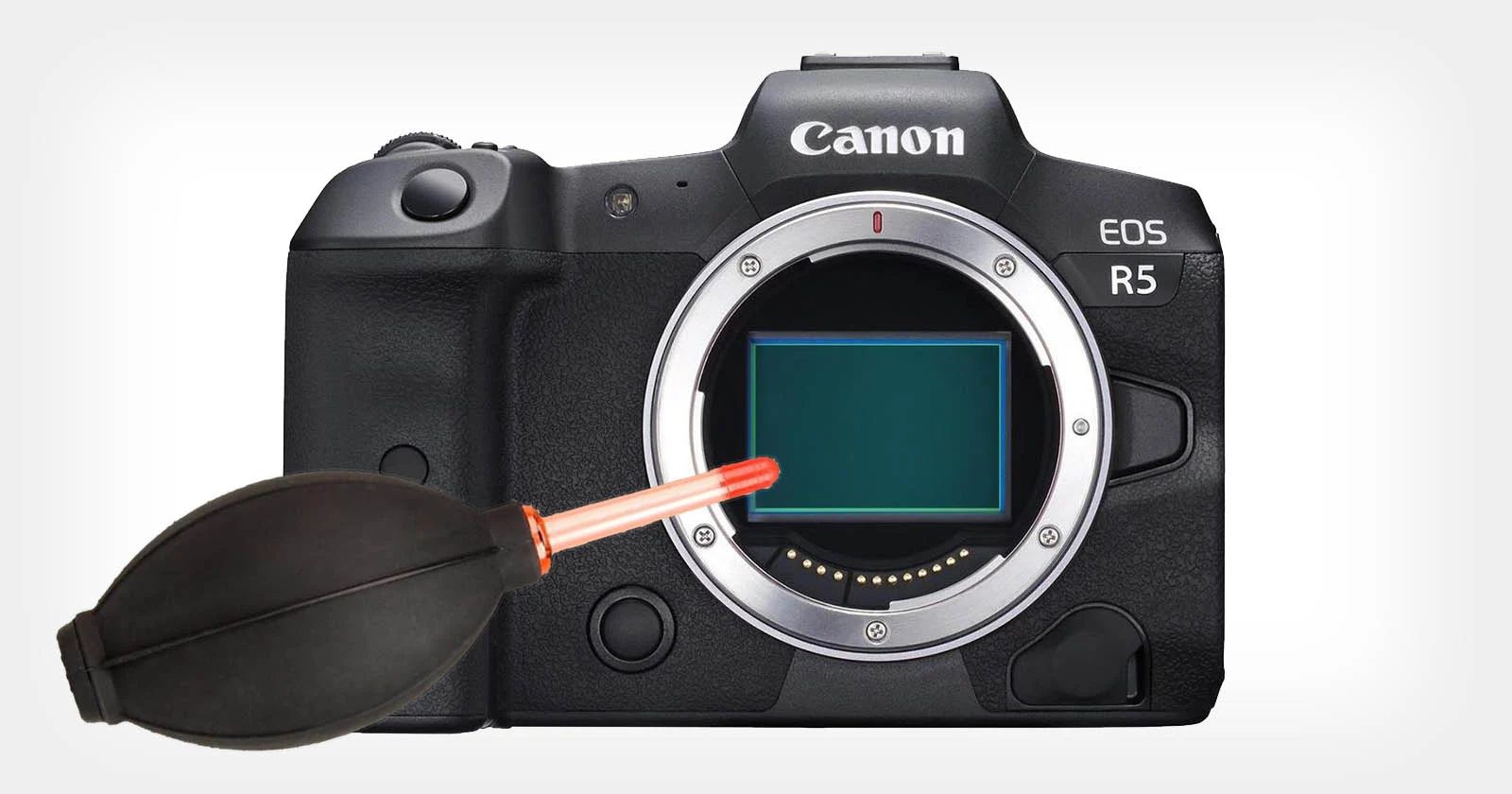 What Does The Digital Sensor In A DSLR Camera Replace?