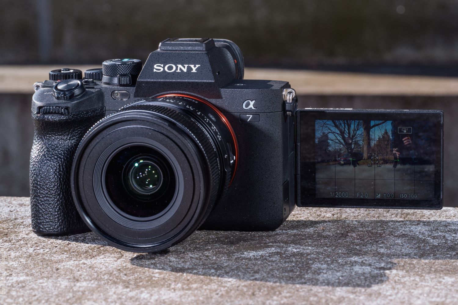 What Is A Mirrorless DSLR Camera