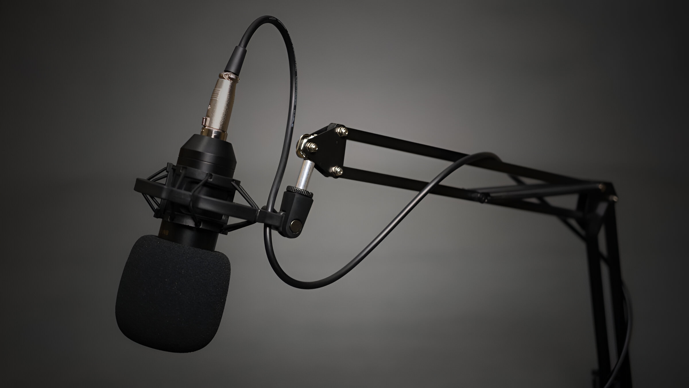 What Is A Professional Condenser Microphone?