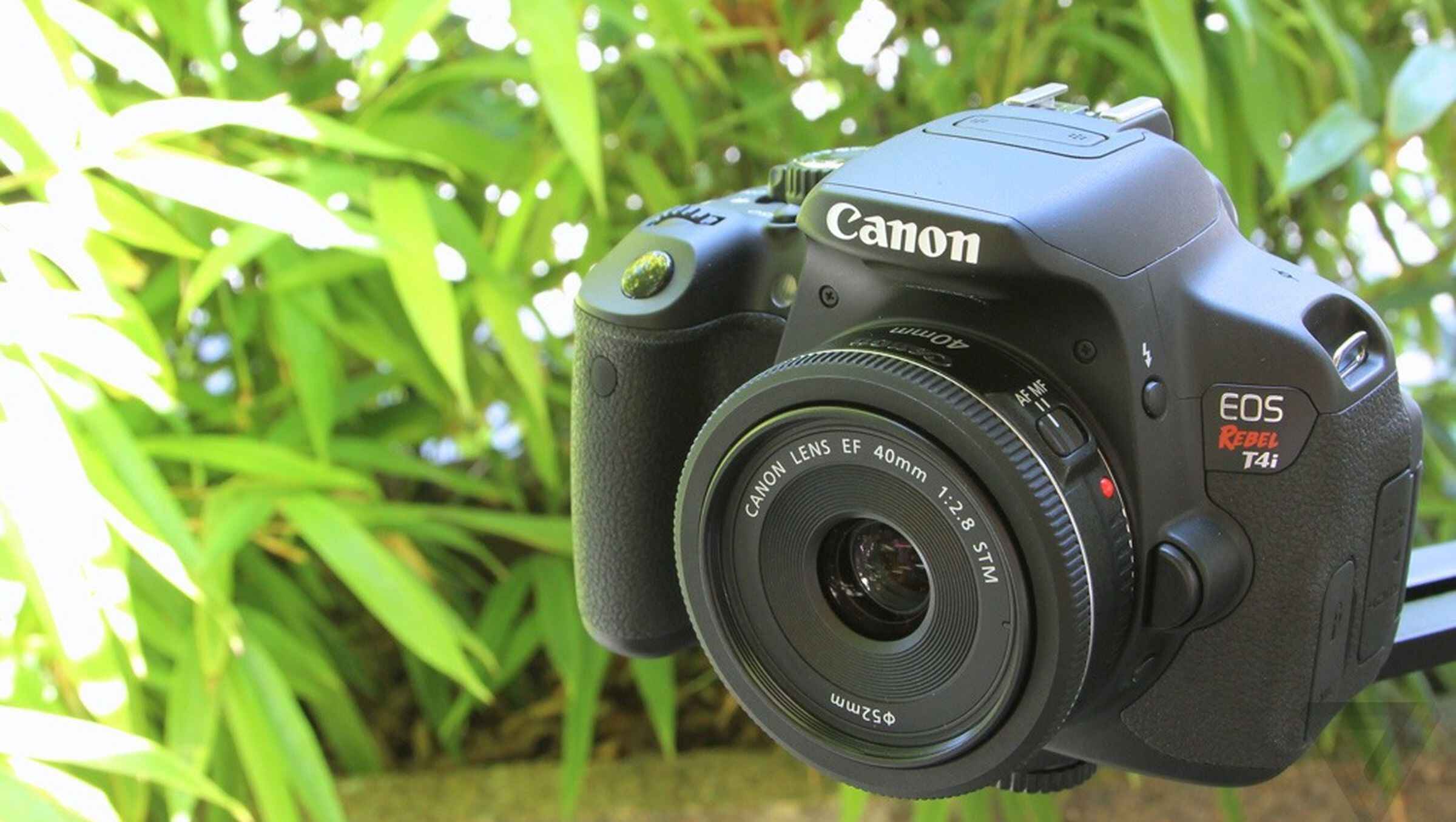 what-is-iso-on-a-dslr-camera