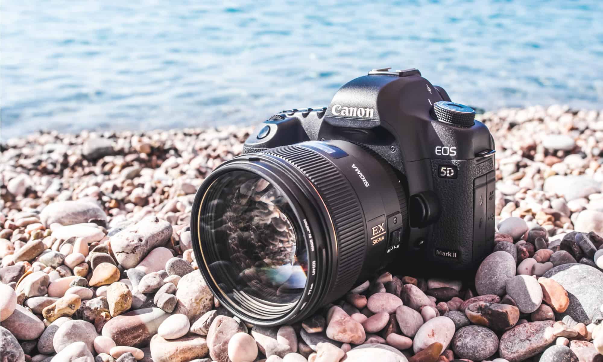 What Is Special About A DSLR Camera