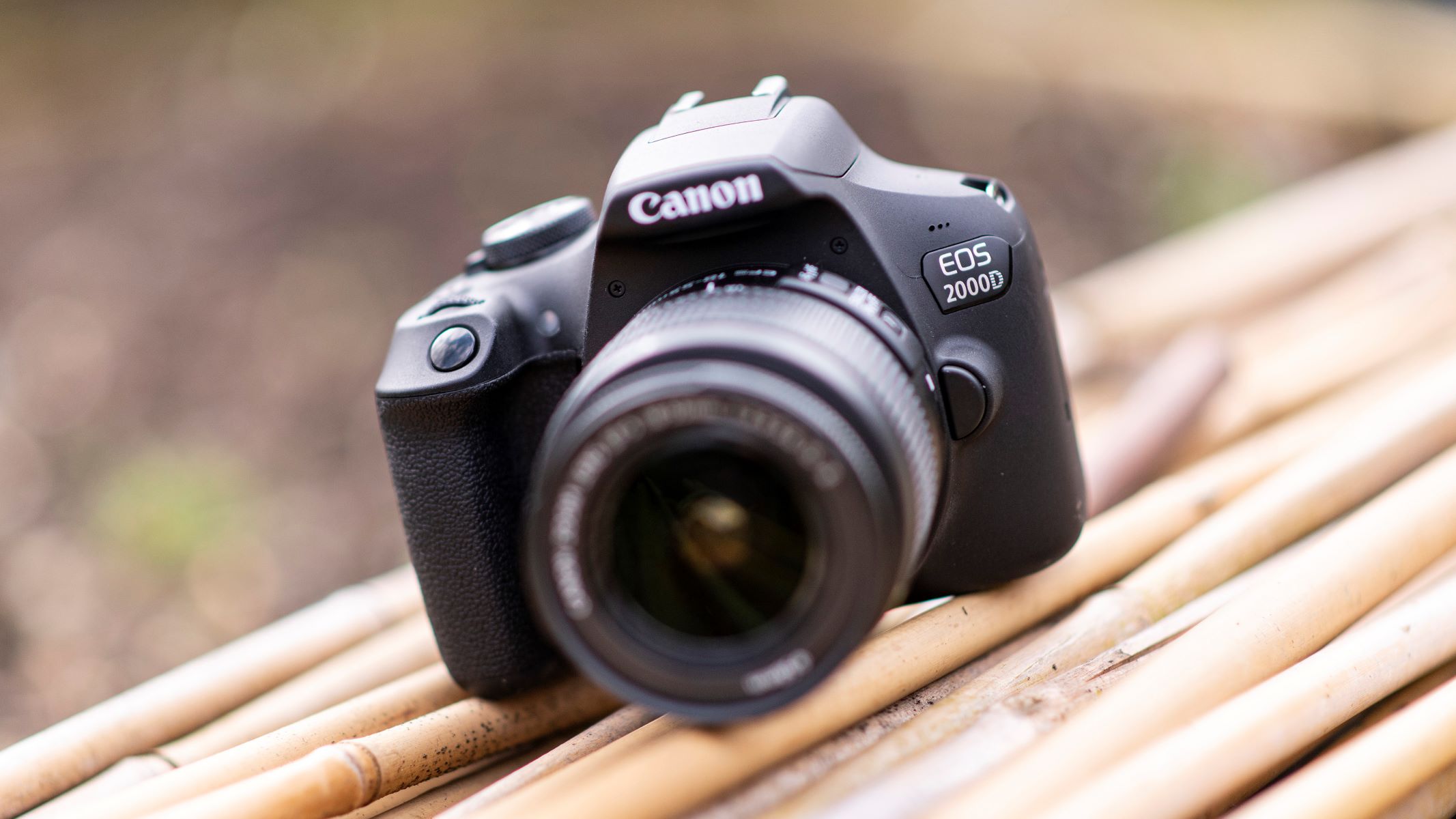 What Is The Best DSLR Camera Under $500