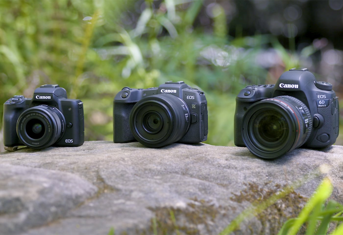 What Is The Difference Between A Digital Camera And A DSLR Camera