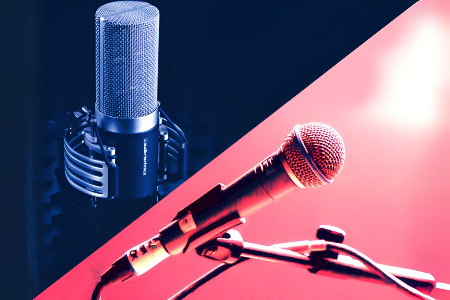 What Is The Difference Between Dynamic And Condenser Microphones?