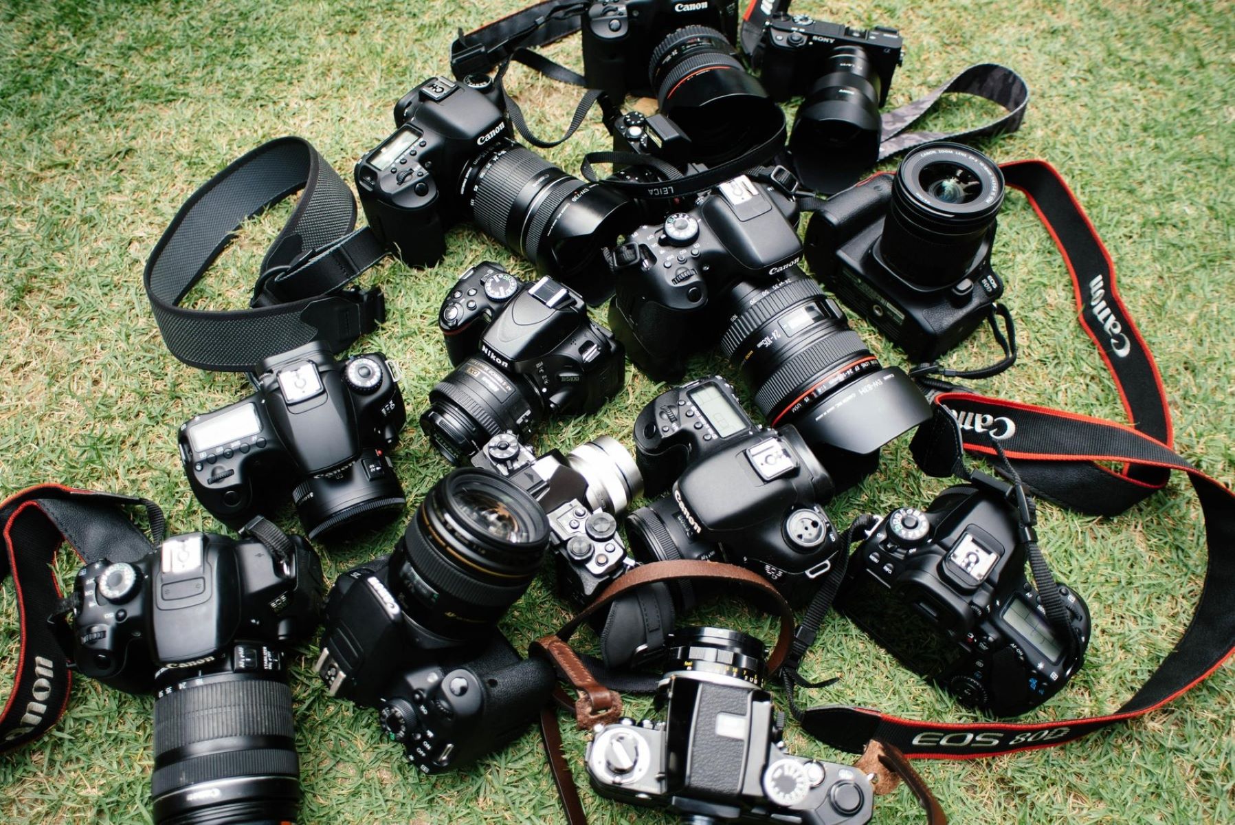 Which Is The Cheapest DSLR Camera