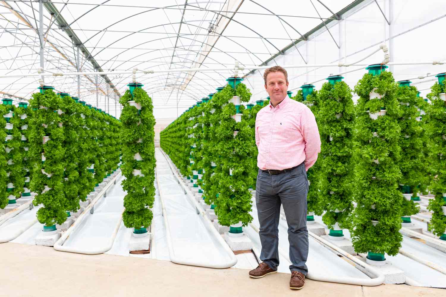 Hippo Harvest Secures $21M Funding To Revolutionize Lettuce Farming With Robotics And AI