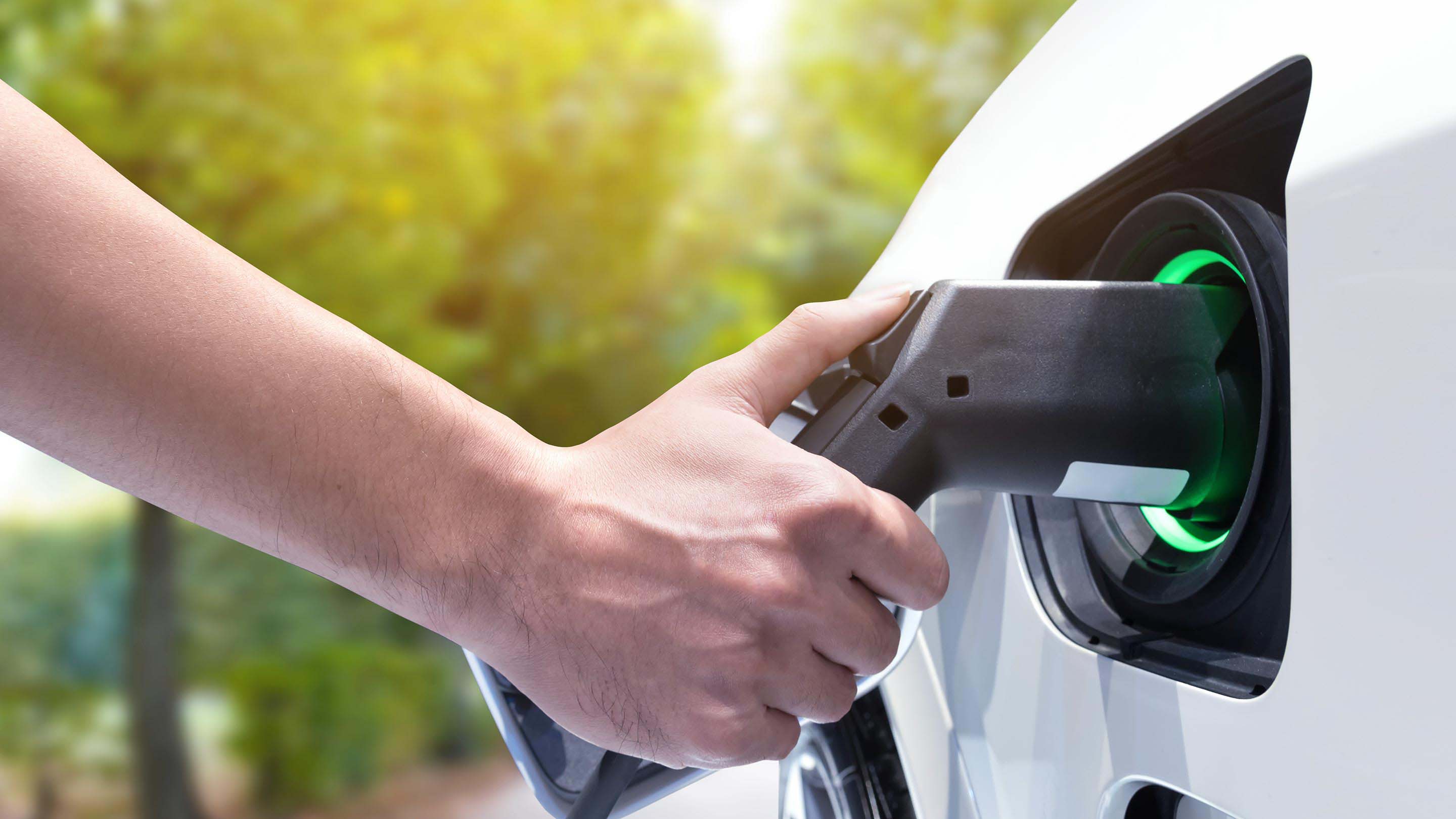 Optimize Your EV Fleet With Guided Energy’s Charging Management Software