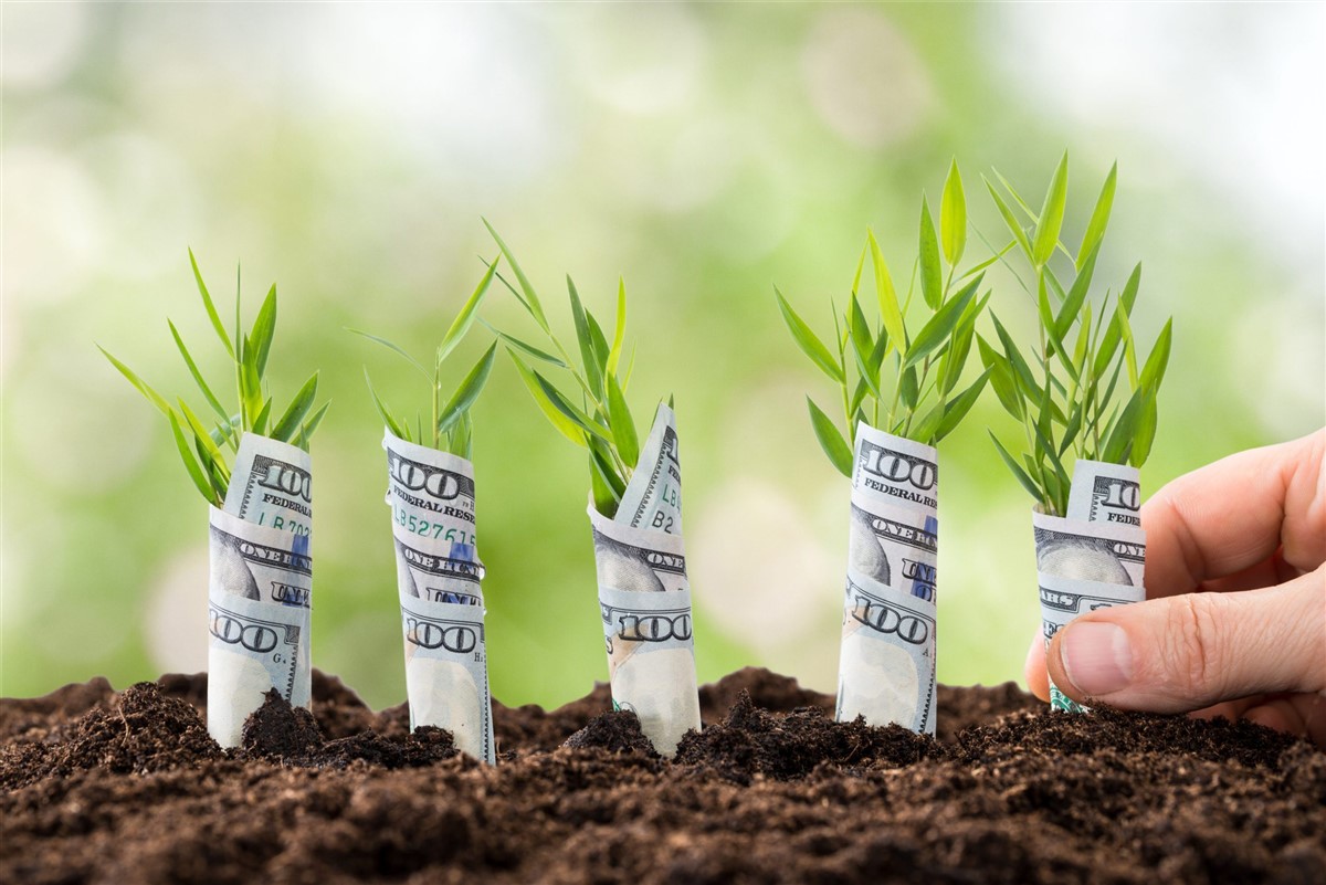 understanding-seed-funding-a-comprehensive-guide-for-founders-in-2024