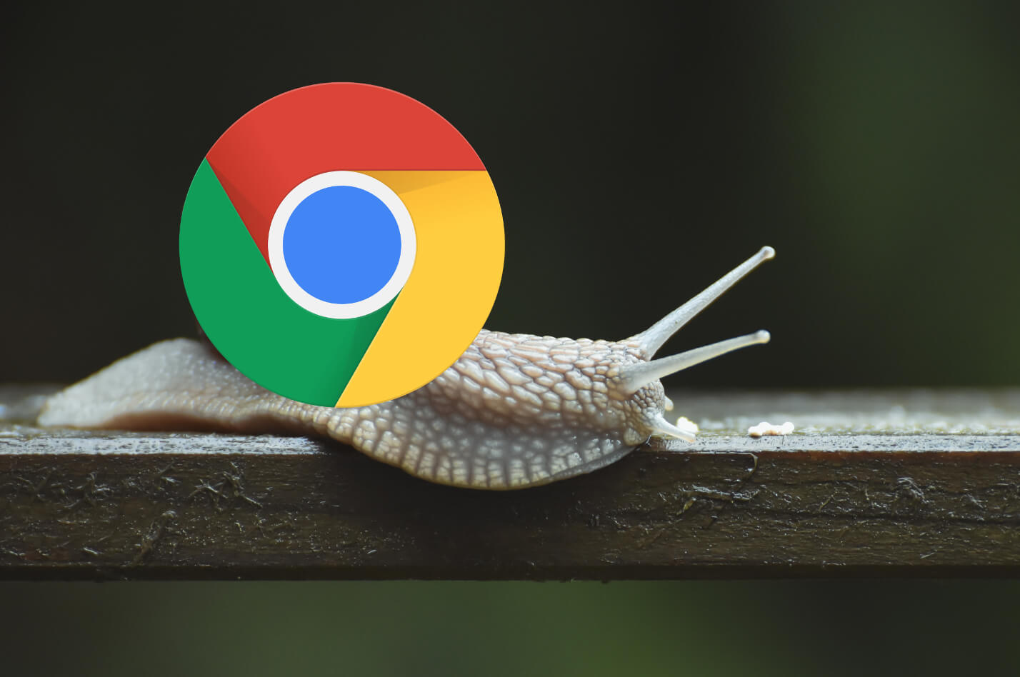 Why Chrome Is Slow?